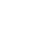 brain knowledge icon