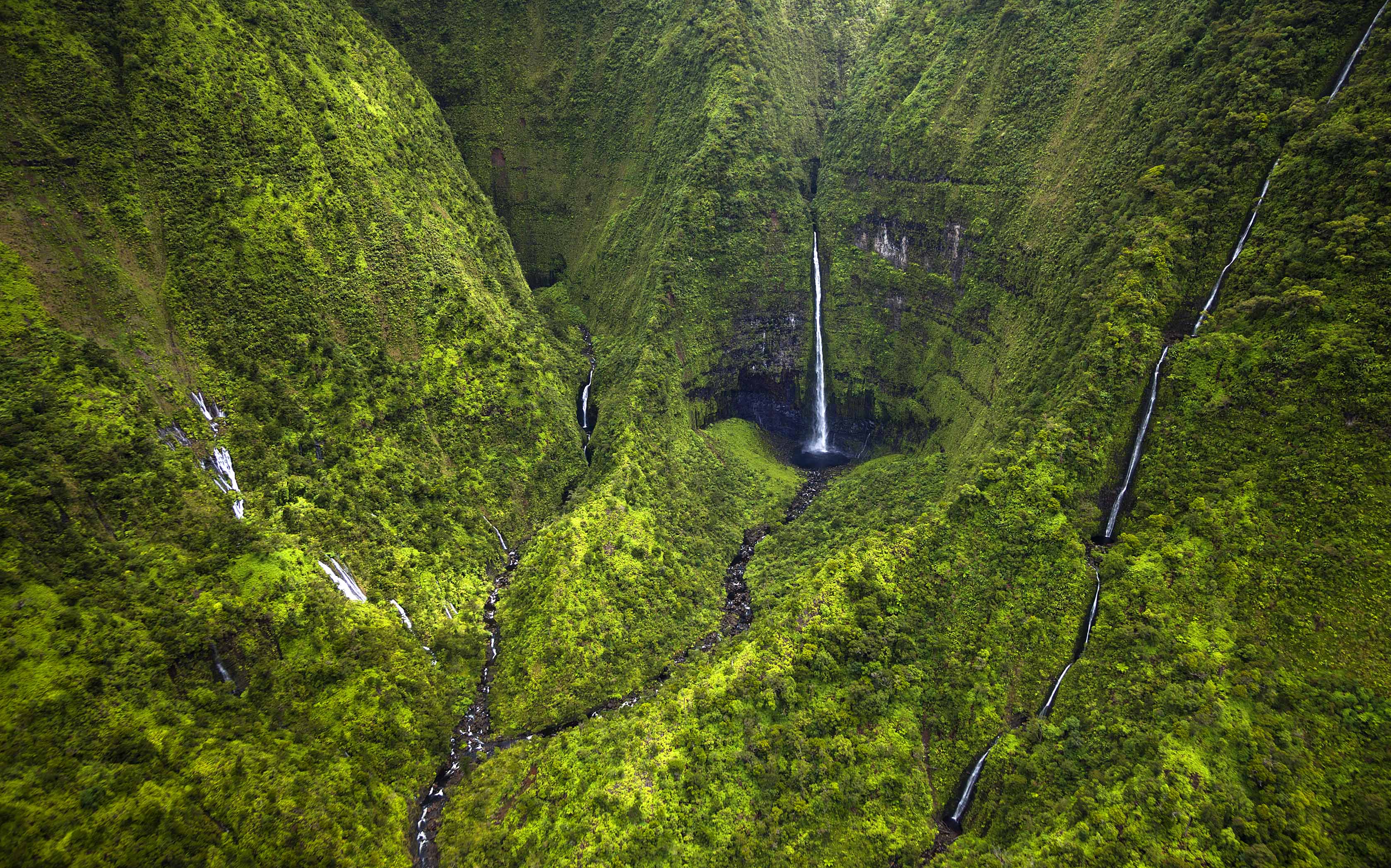 Luscious green vegetation with waterfalls all around