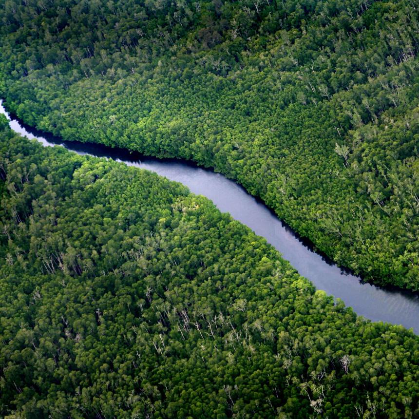 Aerial view of Sungai Wain Forest Reserve in East Kalimantan on the island of Borneo, Indonesia
