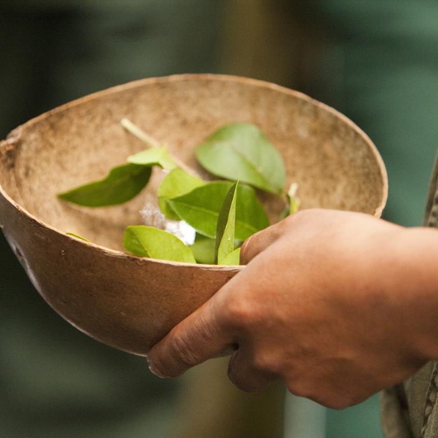 Hand holding a bowl with leaves