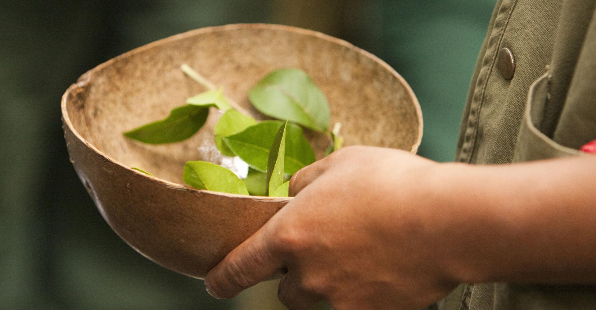 Hand holding bowl with leaves