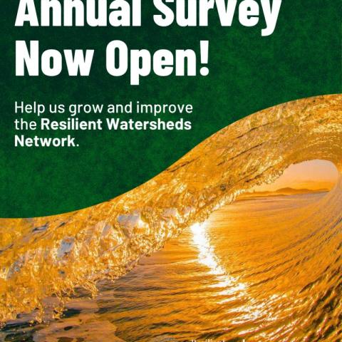 Survey