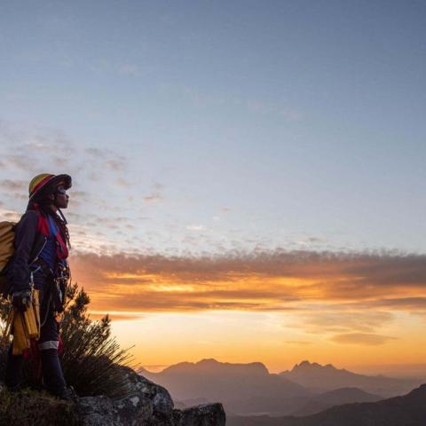 End of Day A high-angle rope technician clearing trees for the Greater Cape Town Water Fund. © Roshni Lodhia