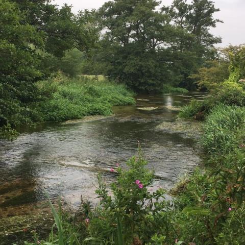 Norfolk landscape