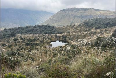 Ecuador Paramos
