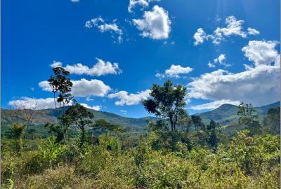 Mulunguzi