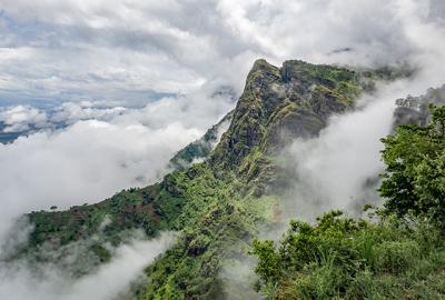 Usambara Mountains in mist