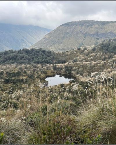 Ecuador Paramos