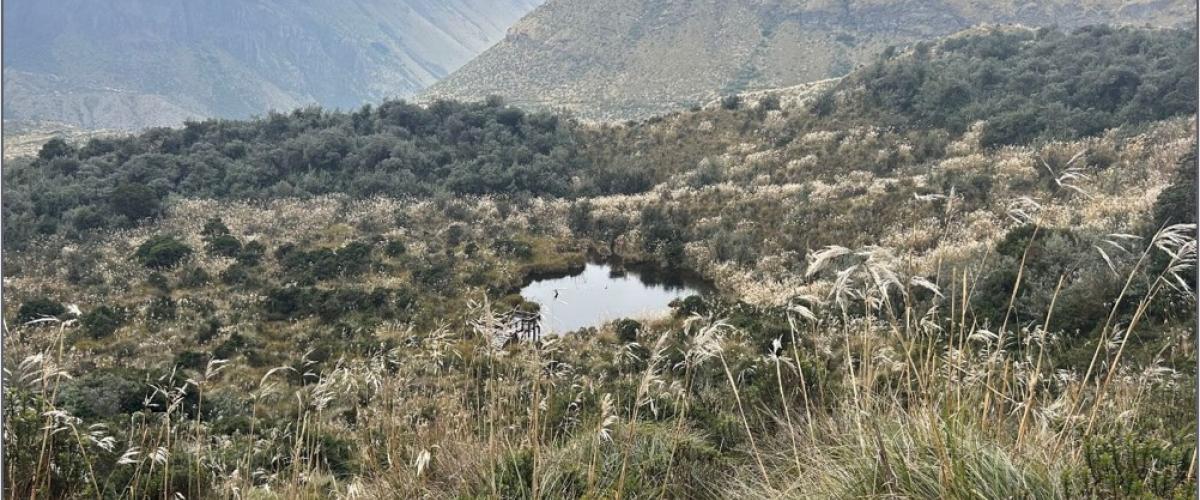 Ecuador Paramos