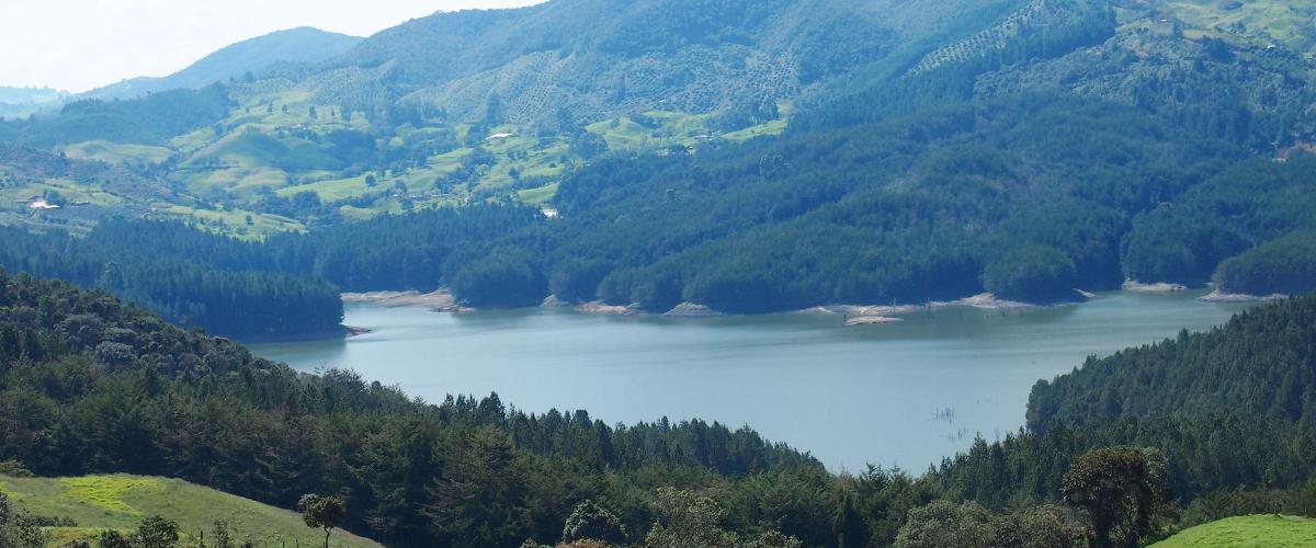 Water basin surrounded by vibrant green vegetation